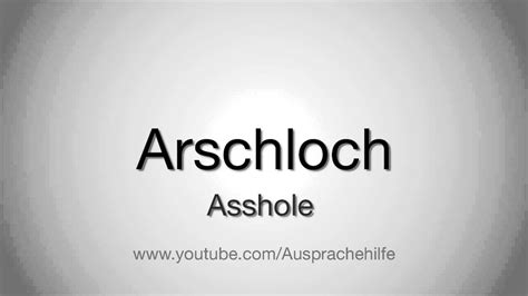 german asshole|asshole translation in German .